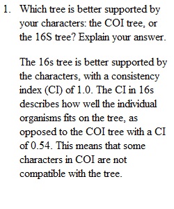 Lab 10 Document and Submission